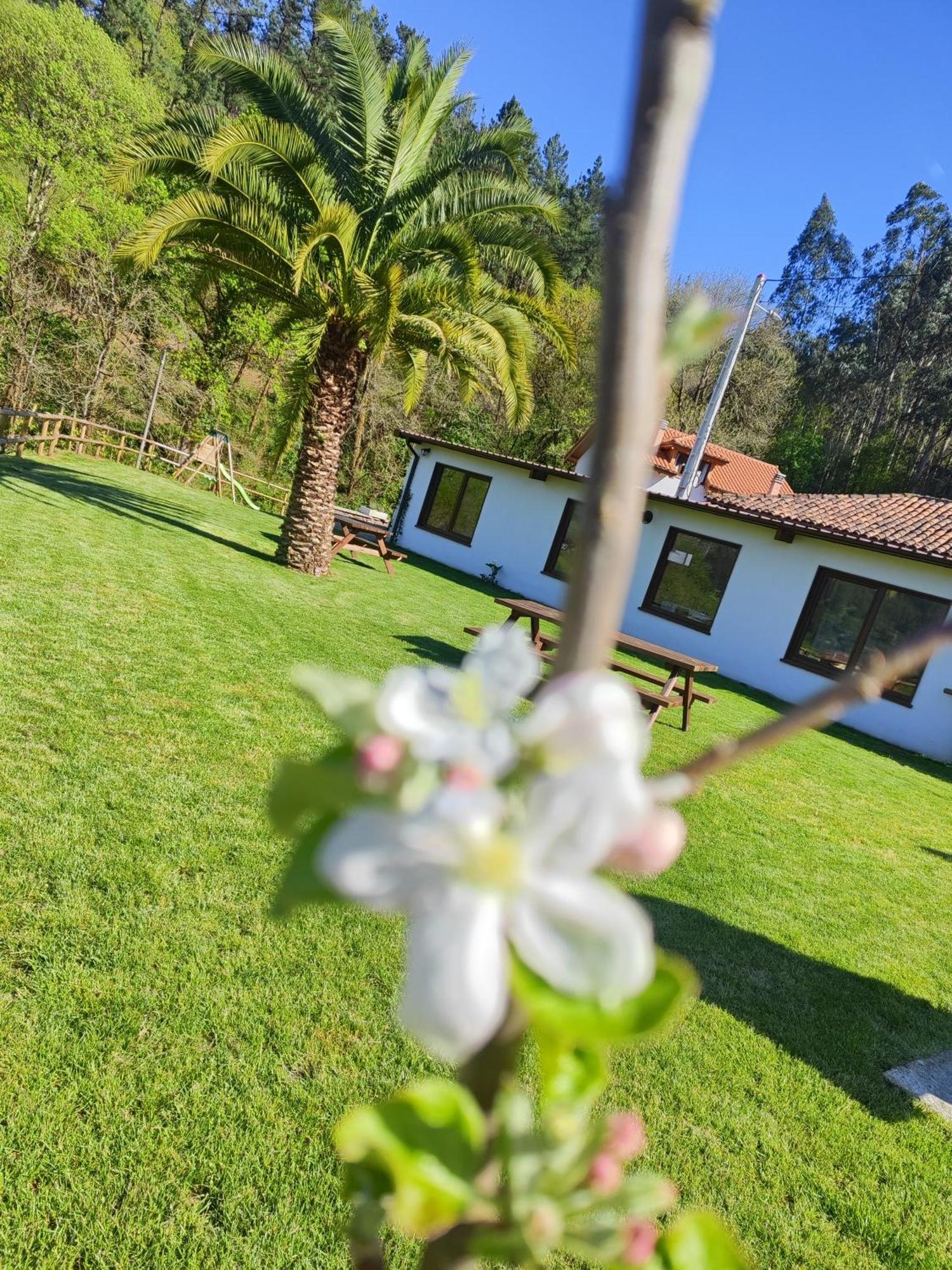 Reguero Gato Turismo Rural Candamin Экстерьер фото